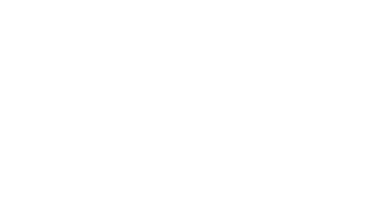 online-charter logo weiß